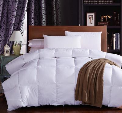 秋冬季加厚超柔纖羽柔絲被 廠家直供，團(tuán)購批發(fā)優(yōu)選